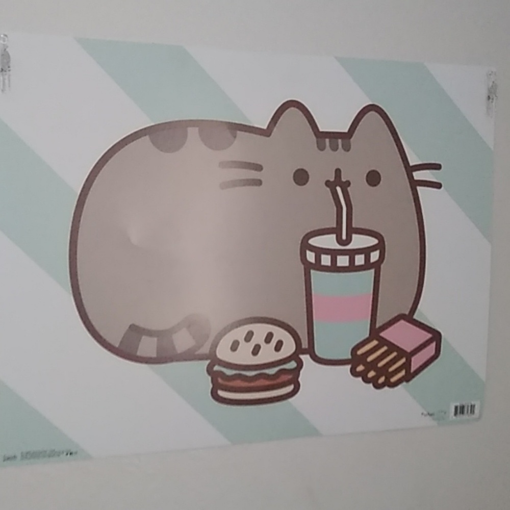 Pusheen poster